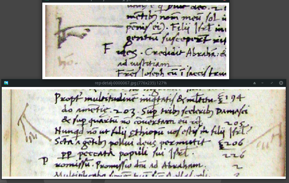Repertorium, f. 135v and 333r: two distinctive maniculae